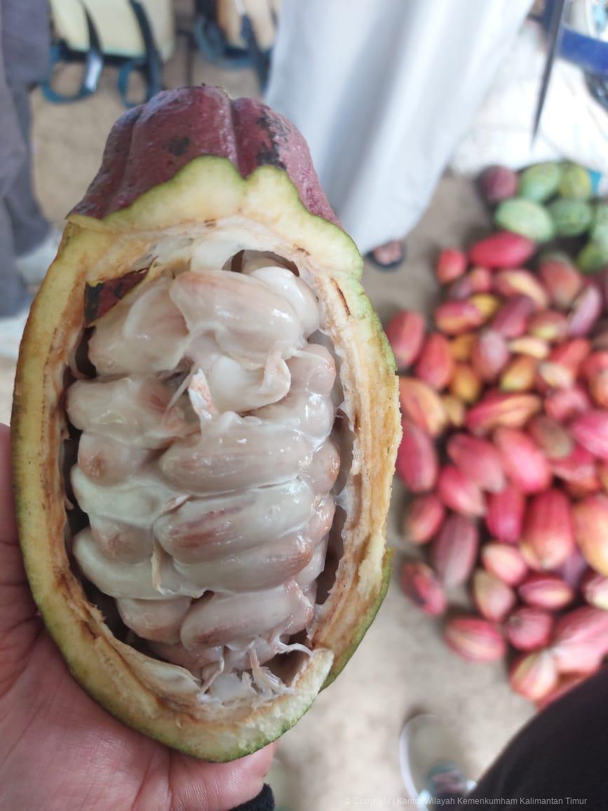 5. Pengawasan IG Kakao Berau